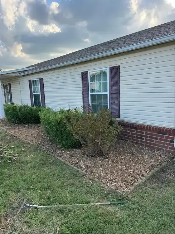 After overgrown yard cleanup in Northwest Arkansas